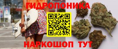 эйфоретик Берёзовский